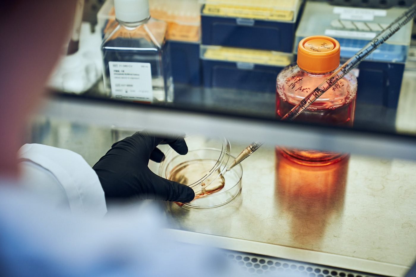 The Mansour Lab at Massachusetts General Hospital and Harvard Medical School